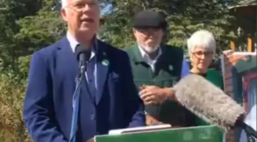 Greens Commit To Ending Indiscriminate Clearcutting And Use Of Glyphosate