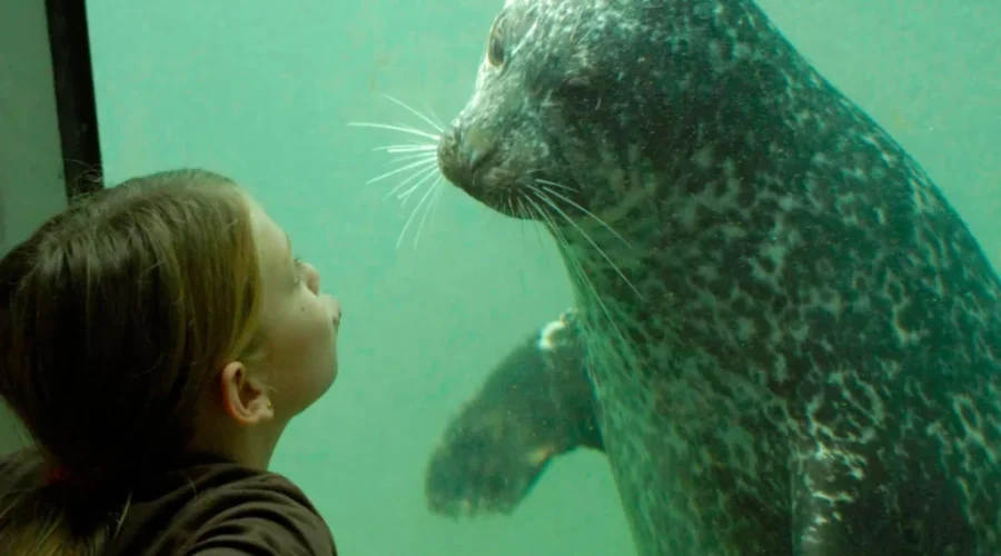 Free Pass To The Fundy Discovery Aquarium