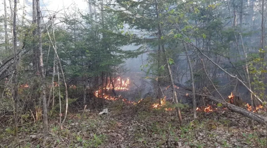 Water Bombers Help Contain Irishtown Park Fire
