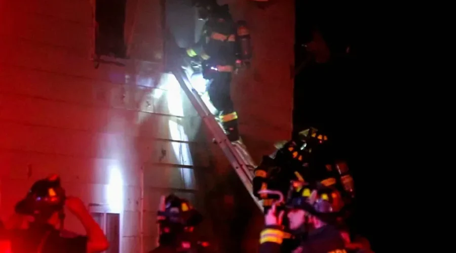 Cat Dies In Noel Street Fire