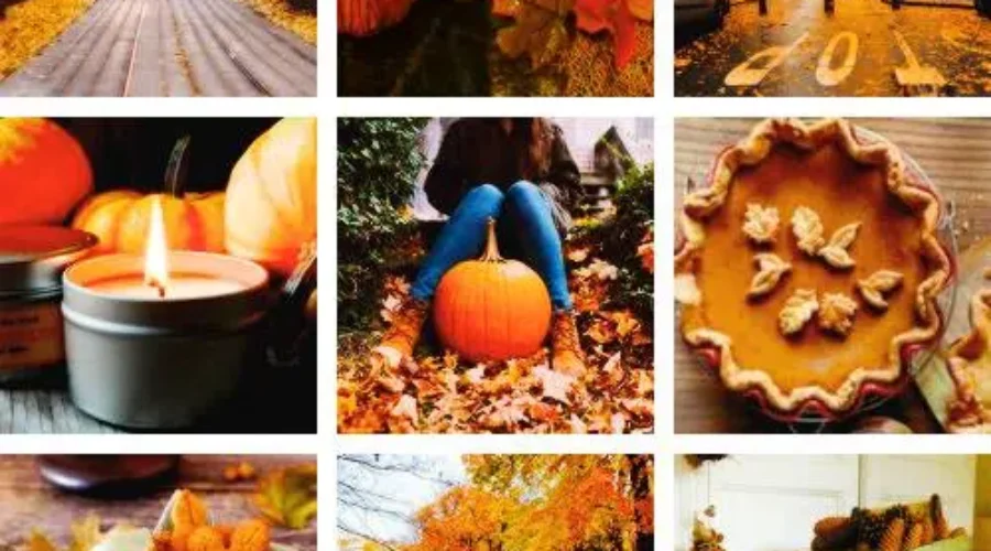 I’ve had it with summer