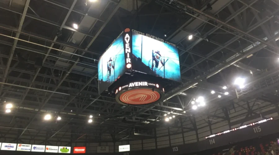 Fans Ready For Wildcats Regular Season At The Avenir Centre