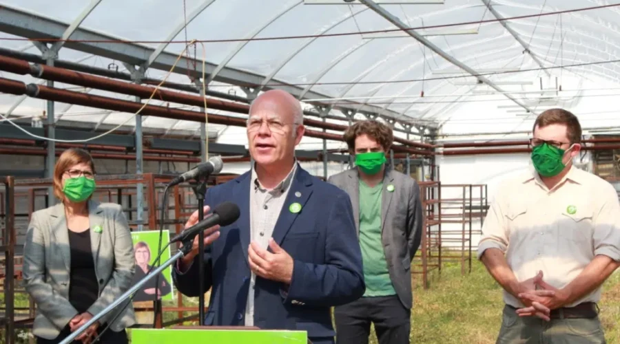 N.B. Greens Pledge To Ensure Better Internet Access