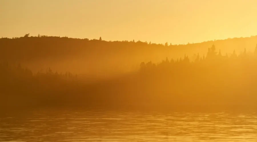 Park Residency Benefits Fredericton Artist