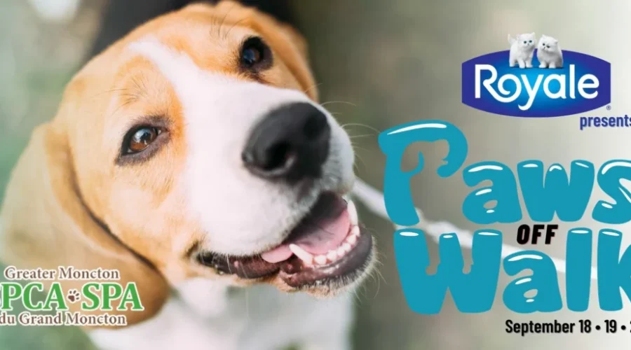 Greater Moncton SPCA Hold First Ever ‘Paws Off Walk’