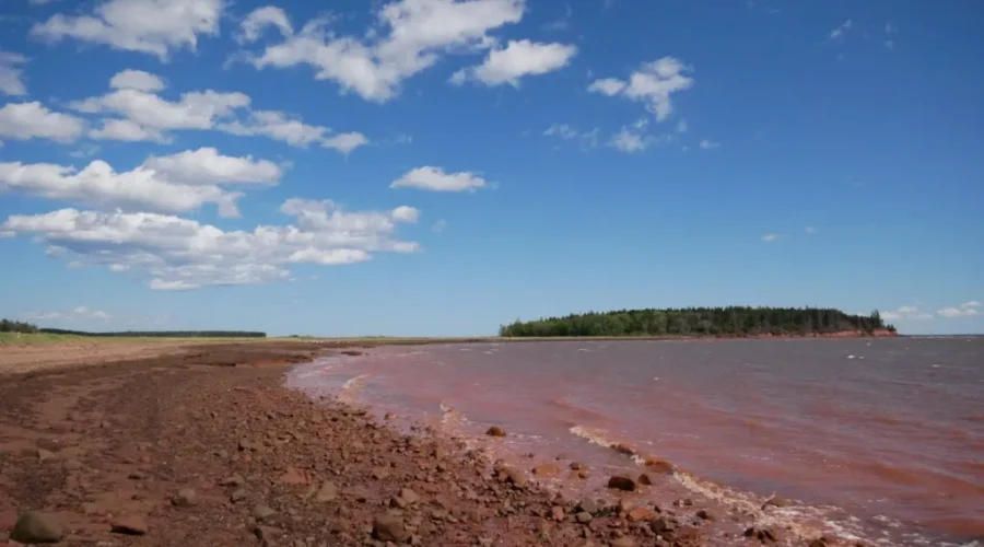 Northumberland Strait Island And Salt Marsh Donated To NCC