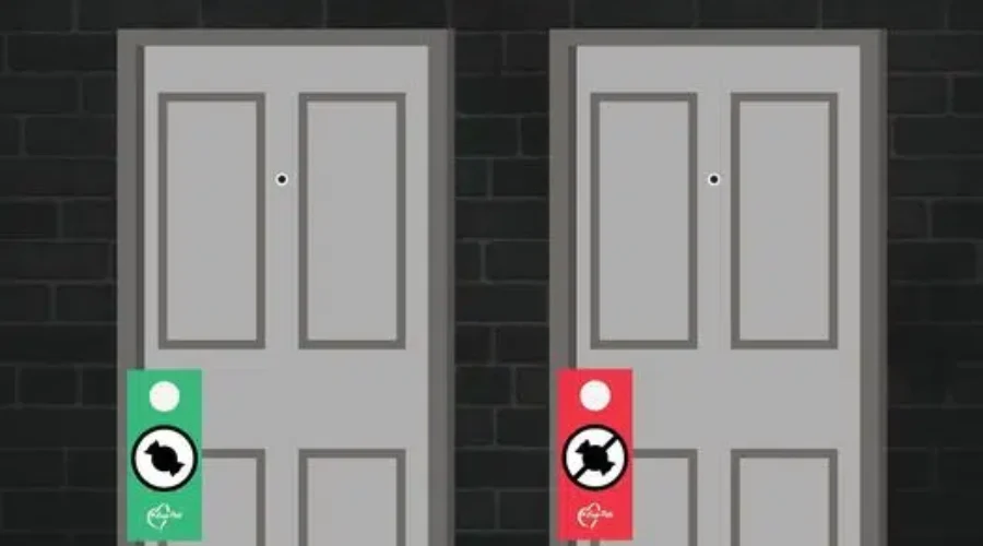 Cap-Pelé Reveals Plan for Halloween