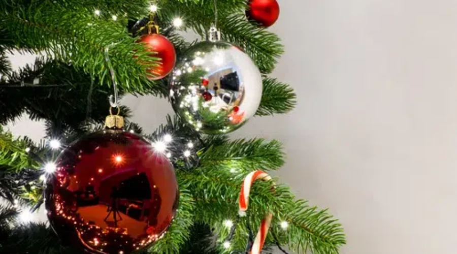 Survey Asks Kids What They Want For Christmas