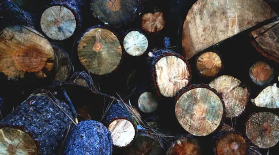 Recommendations To Improve Logging Operation Safety