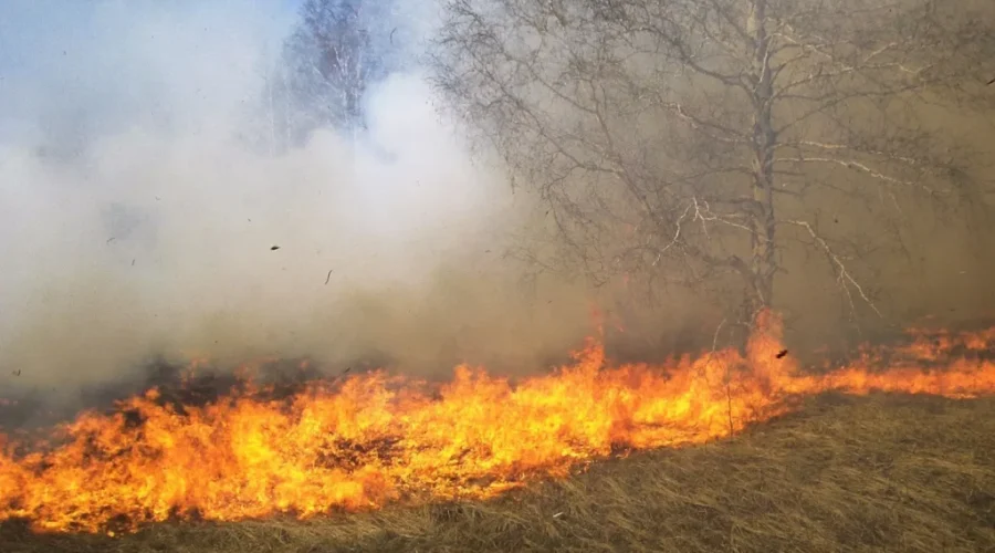 ‘Significant’ Year For Forest Fires In N.B.