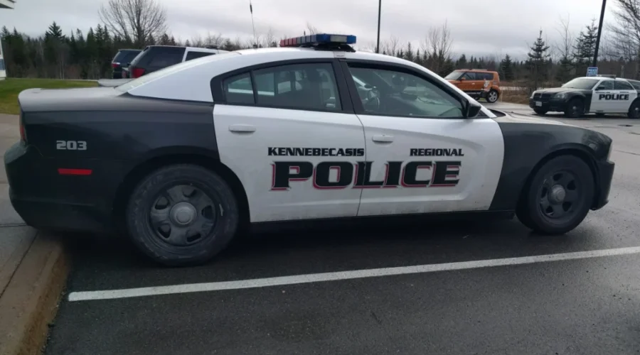 Advocates Review Sexual Violence Cases At N.B. Police Force