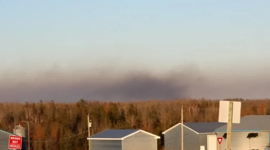 Challenging Forest Fire Destroys At Least Twenty-Five Acres