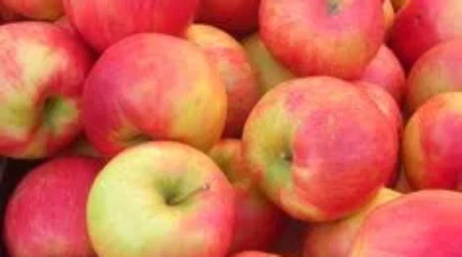 Gen’s easy OLD FASHIONED APPLE CRISP