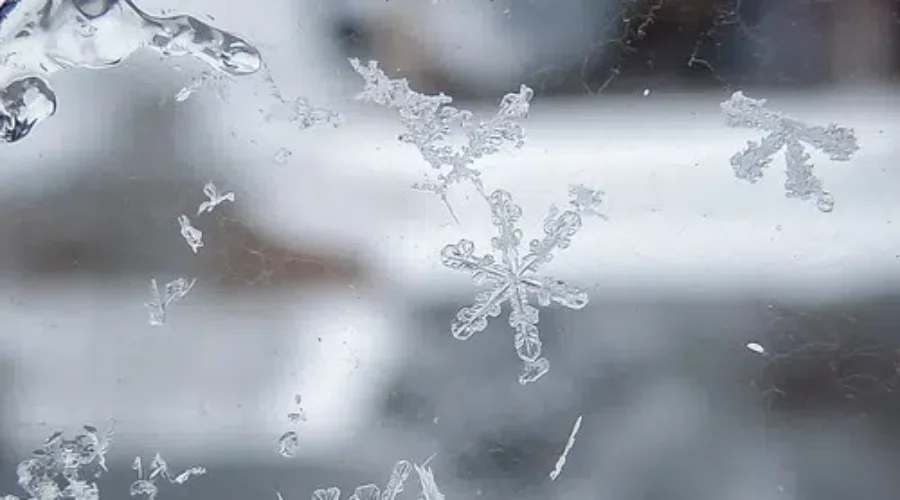 UPDATE: Snow And Rain Heading For N.B.