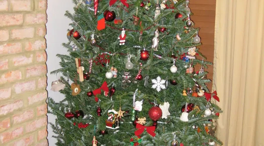 Fire Prevention Officer Talks About Christmas Tree Safety