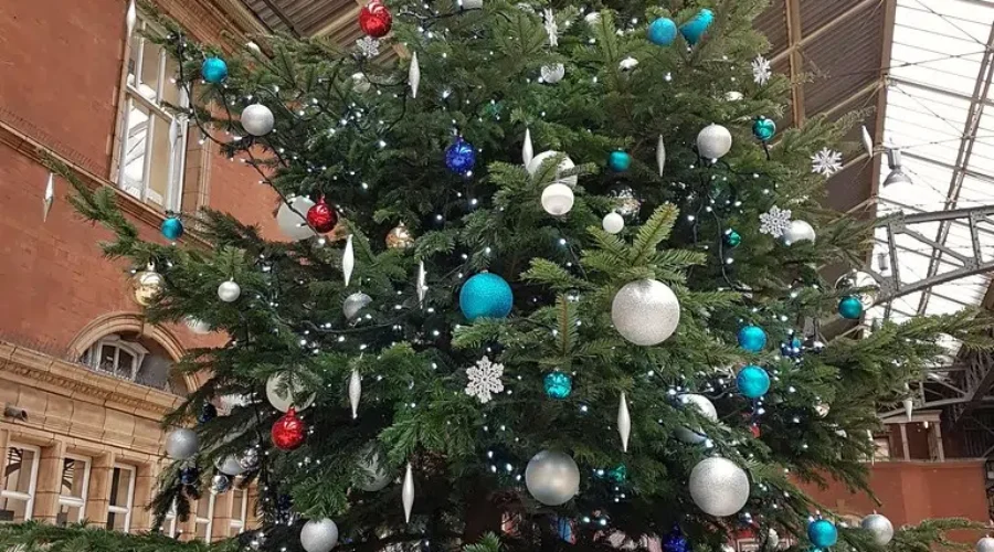 High Demand For Fresh Christmas Trees This Year