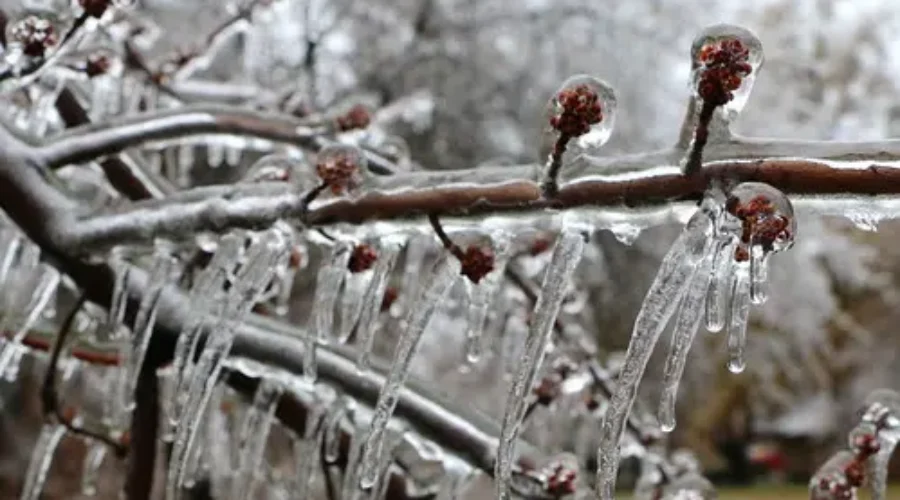 Environment Canada Issues Freezing Rain Warning