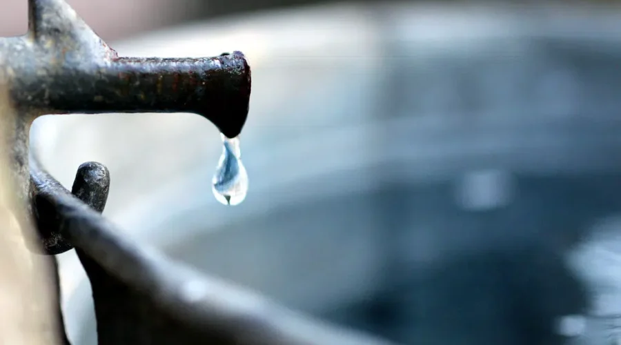 Maple Syrup Producer Says Upcoming Season Hard To Predict