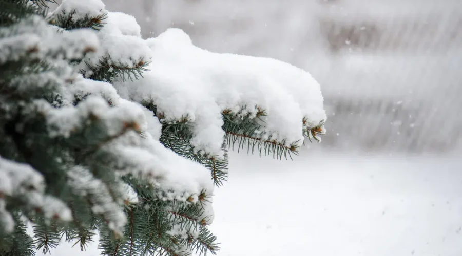 N.B. Faces Incoming Snowfall Monday Evening