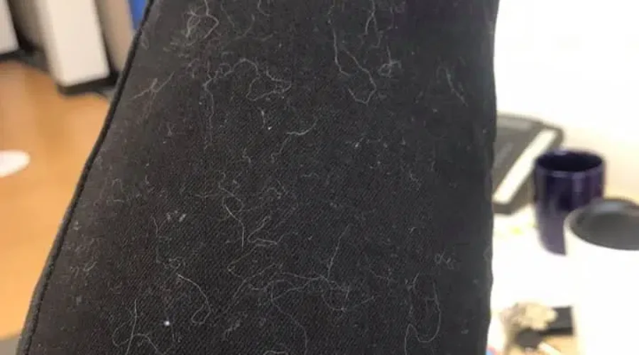 Forgot to use the lint roller today