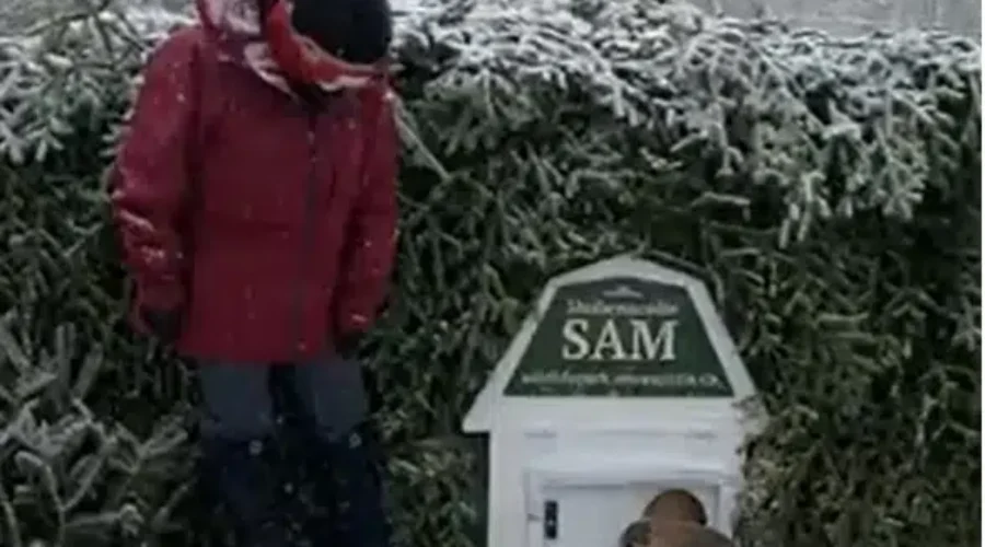 UPDATE: It’s Groundhog Day!