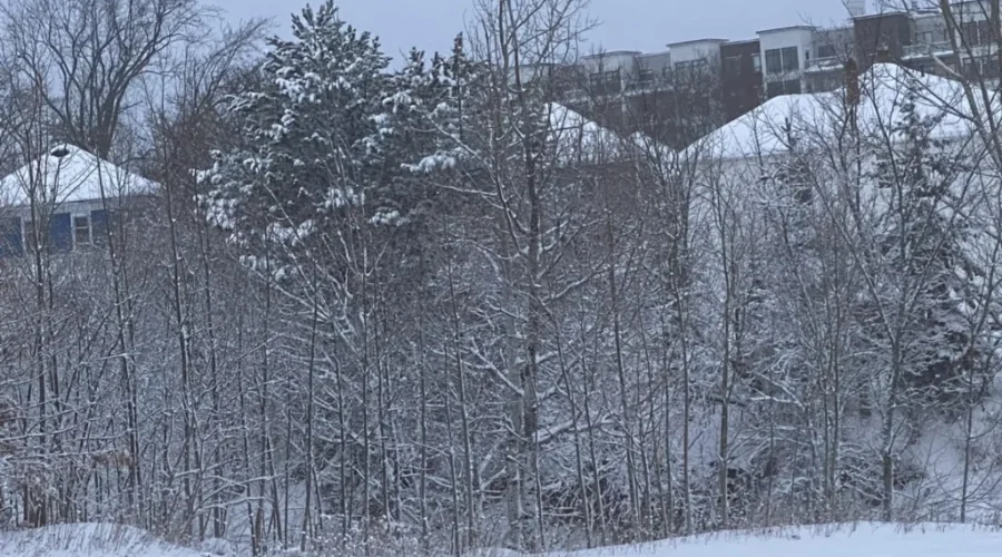 Snow Closes Schools Again In Parts Of The Province