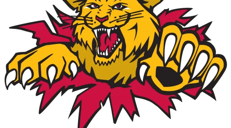 Moncton Wildcats Release March Game Schedule
