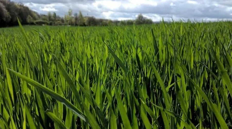 Spring Officially Underway