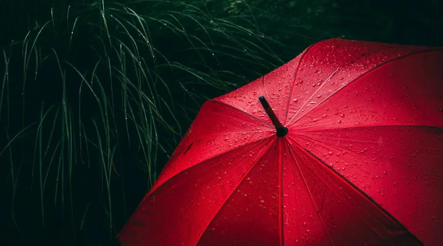 UPDATE: More Heavy Rain On The Way