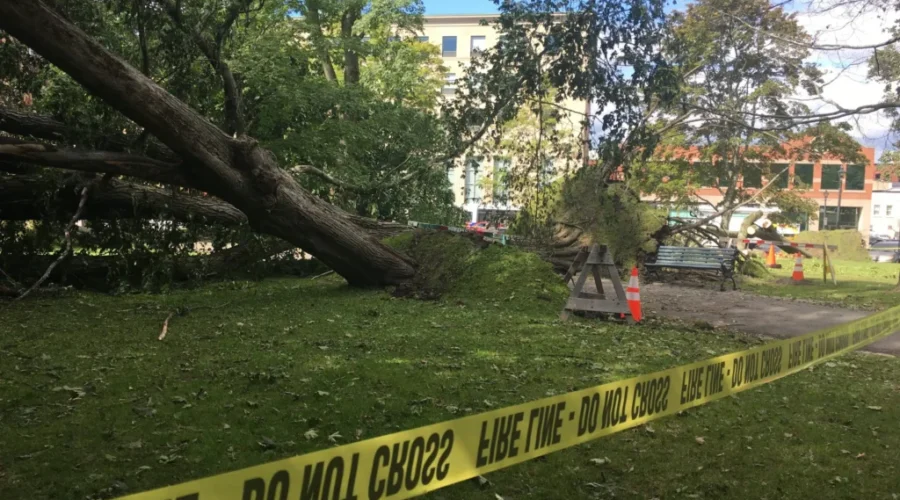 ‘Dorian’ Retired As Atlantic Tropical Cyclone Name