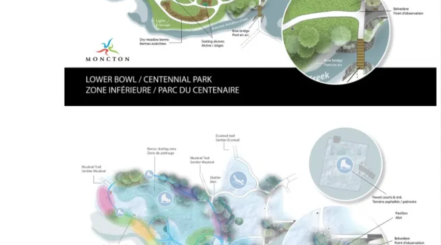 Centennial Park Upgrades Face Criticism At City Council Meeting