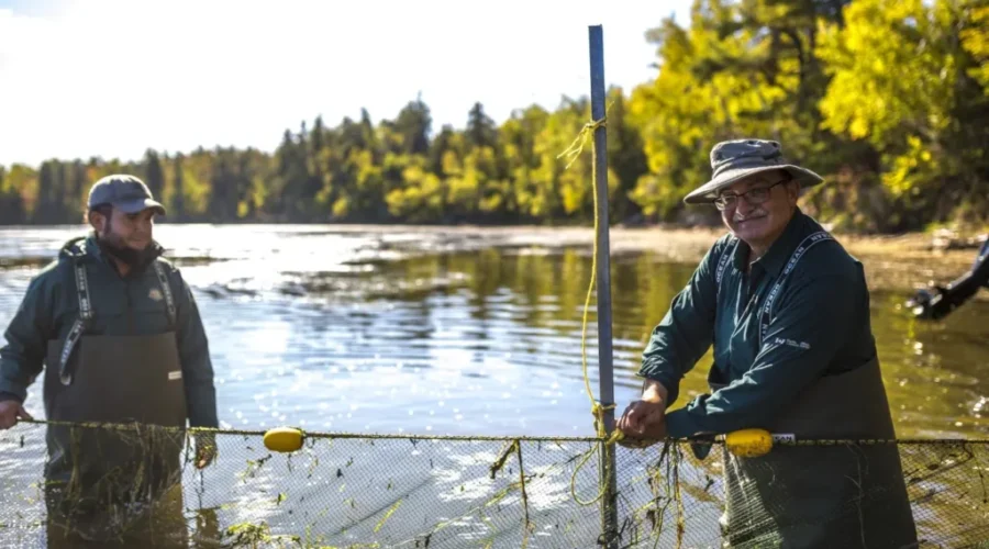 Public Consultations Launched For Kouchibouguac Park Plans