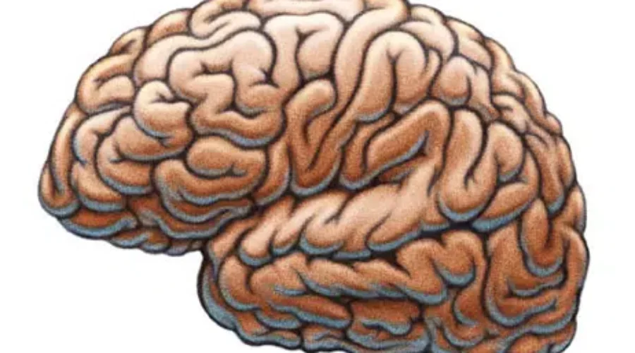 Webpage To Update Investigation Into Mystery Brain Illness