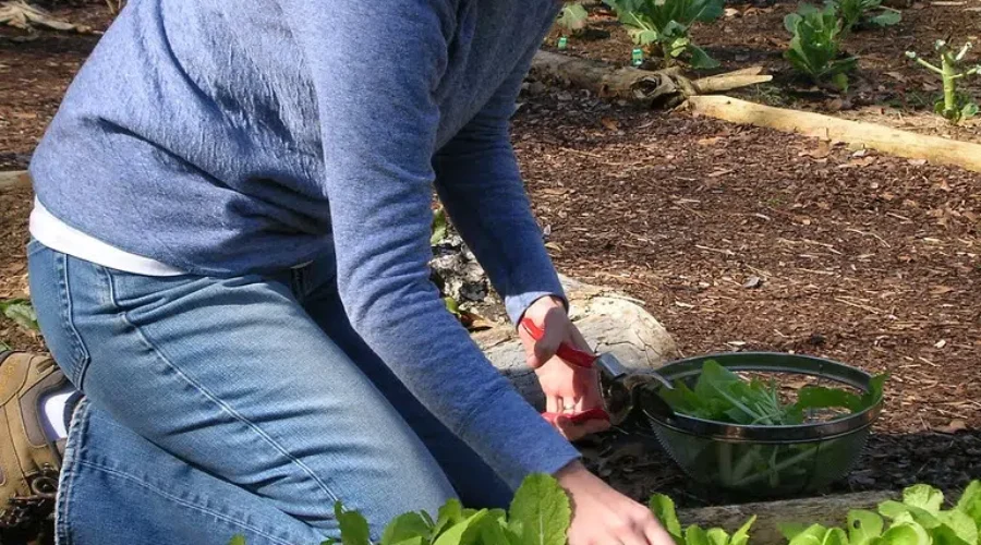 Summer Employment With The City of Moncton