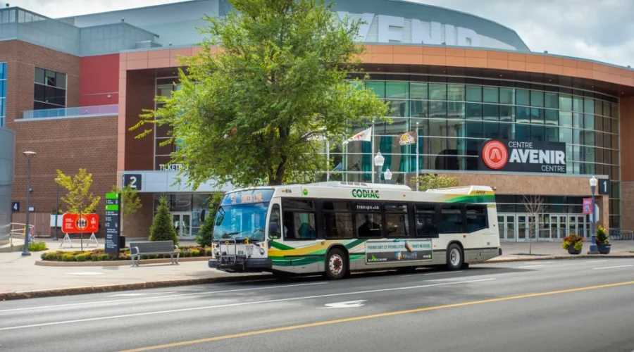 Codiac Transpo Eyes Road To Recovery