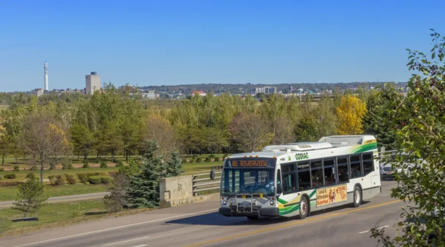 Pilot Project In Dieppe For On Demand Transit