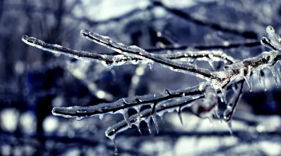 New Brunswickers Urged To Be ‘Ready For Anything’ All Year