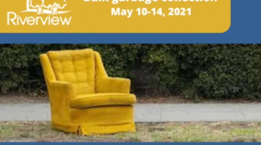 What’s the best thing you’ve ever found during Spring Cleanup?