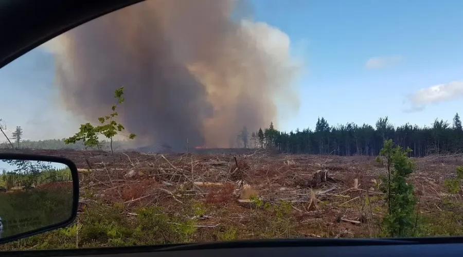 Forest Fire Contained, DNR Asks Residents To Avoid Area