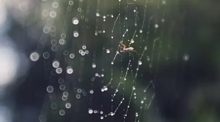 Heavy Rain And Strong Winds Lead To Power Outages