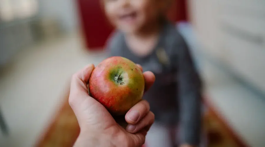 Program Providing Summer Snack Packs Through FDA