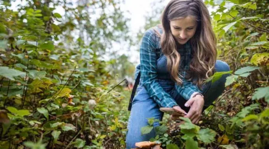 Big Backyard BioBlitz Returns This Weekend