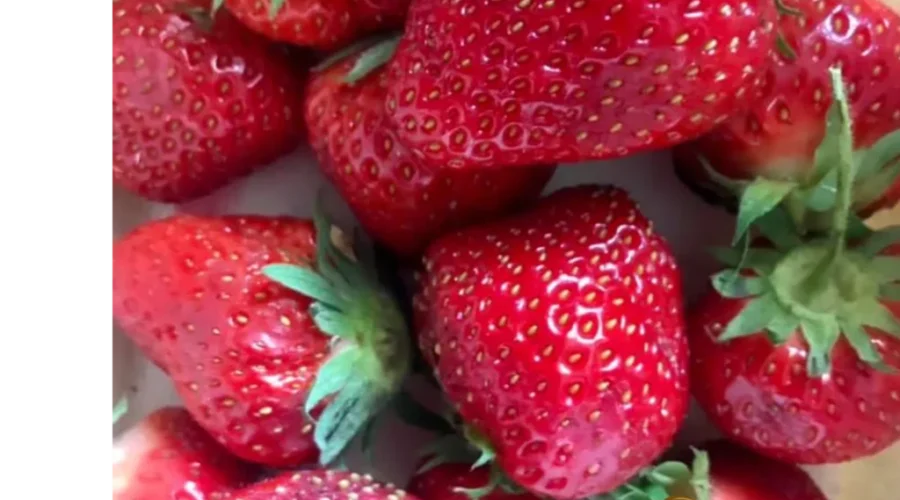 It’s Strawberry Season!