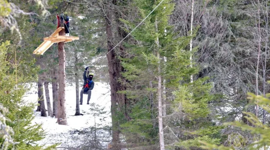 Zip Tours Will Give New Brunswickers A Winter Adventure In Sussex
