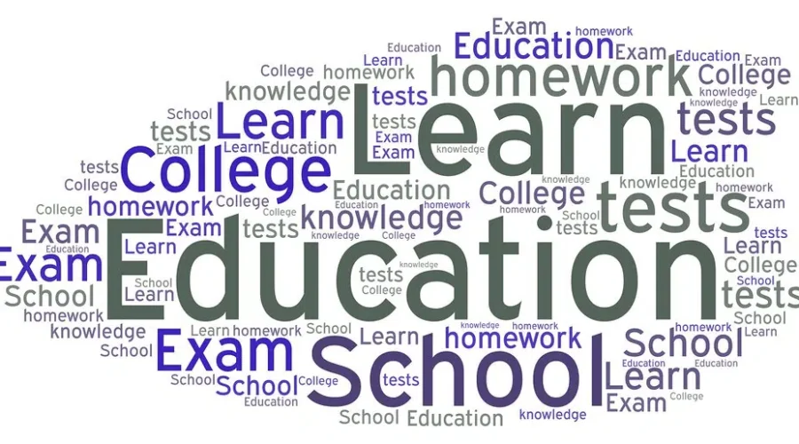 Applicants Needed For Vacant District Education Council Seat