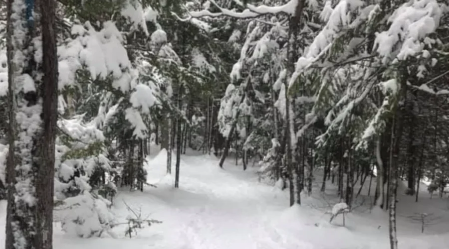 This is starting to look not so bad!