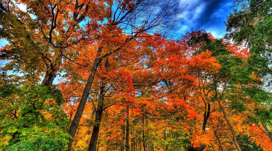Warmer Temps Sticking Around Until December