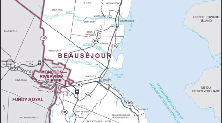Decision 2021: Who Are Your Candidates For Beauséjour?