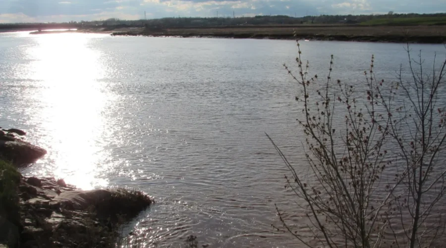 Tidal Bore Surfer Releases Song About New Bridge