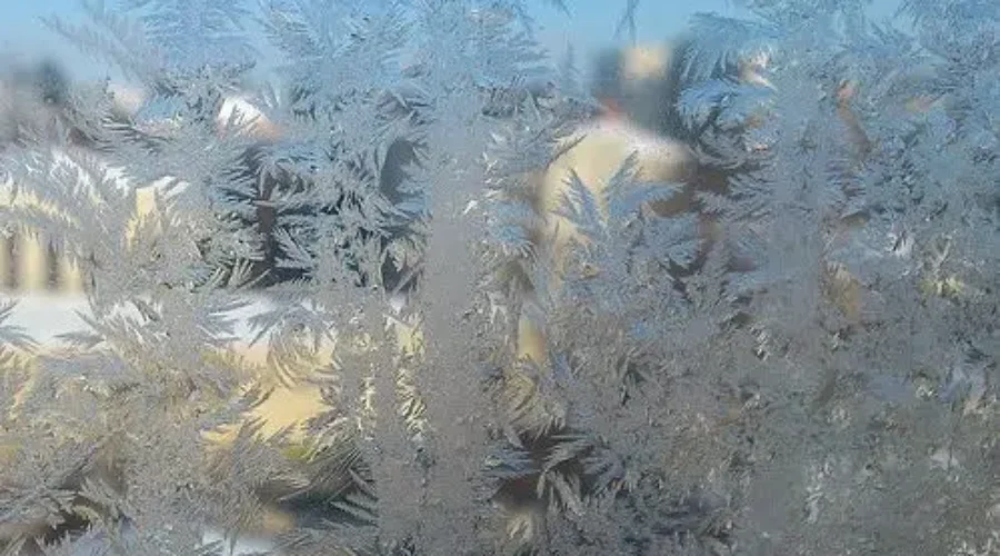 Frost Advisory For Most Of N.B.